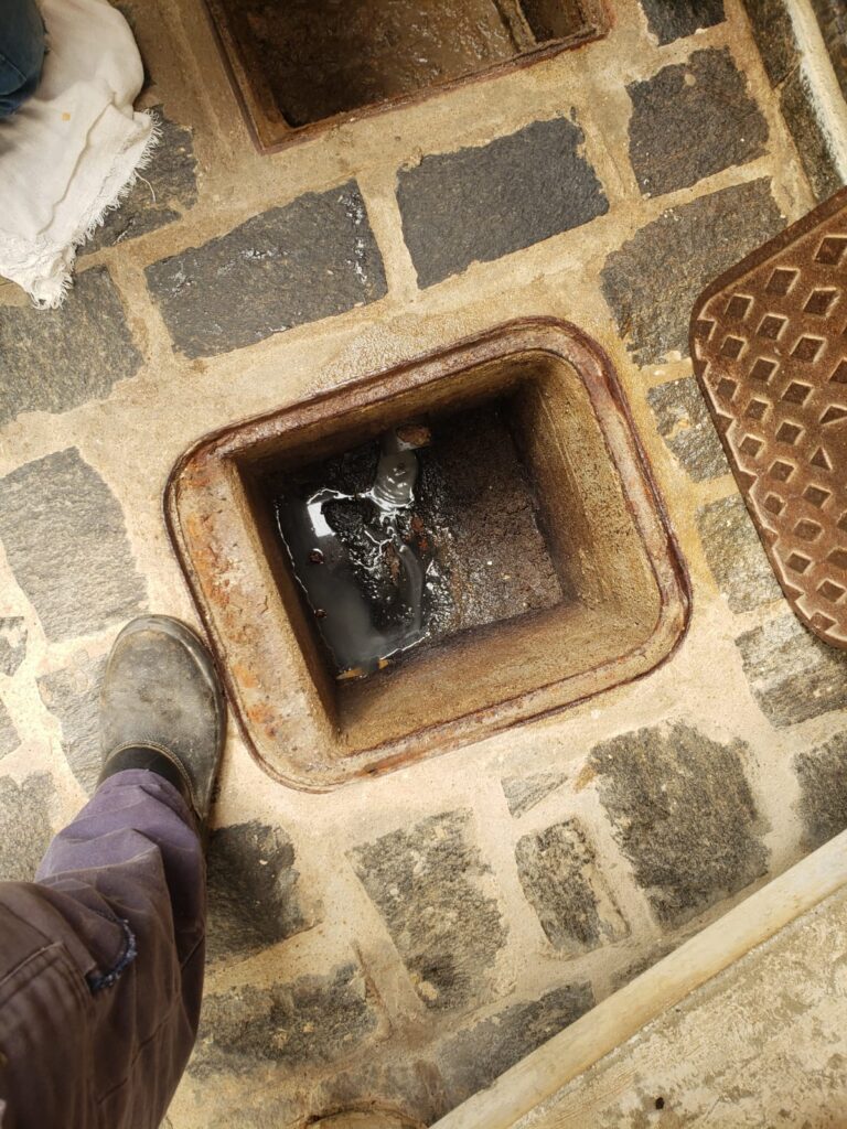 WhatsApp Image 2025-03-12 at 11.27.17 AM